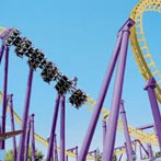 Batwing