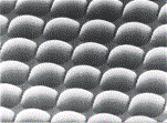 On-chip Microlens of Super HAD CCD