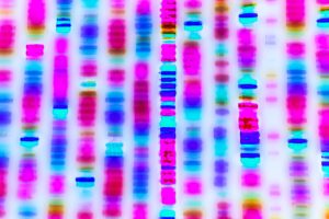 A DNA sequence shown in parallel vertical rows of blues, reds, and pinks.