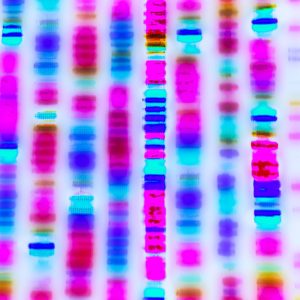 A DNA sequence shown in parallel vertical rows of blues, reds, and pinks.