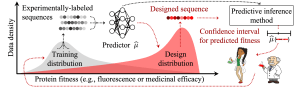 Illustration of a biomolecular design data shift scenario. The illustration resembles a graph with two scientists standing to the right of it. The Y axis reads "Data density." The X axis reads "Protein fitness (e.g., fluorescence or medicinal efficacy)". There are two shaded-in curves on the graph. The leftmost, in gray, is labeled "Training distribution," which has arrows pointing to a series of grayscale dots labeled "Experimentally-labeled sequences". The rightmost, in red, is labeled "Design distribution" and has an arrow pointing to a series of red dots labeled "Designed sequence." There is a figure of empty white circles joined by lines labeled "Predictor û", which has an arrow pointing to it from "Experimentally-labeled sequences" and arrows pointing to "Design distribution" and a box in the top right labeled "Predictive inference method." "Designed sequence" has an arrow that also points to "Predictive inference method." Beneath the box there is a miniature empty line plot labeled "û (red dots)" and "Confidence interval for predicted fitness" which is connected to "Predictive inference method" and has an arrow pointing to the scientists. The last arrow points from the scientists to "Training distribution."