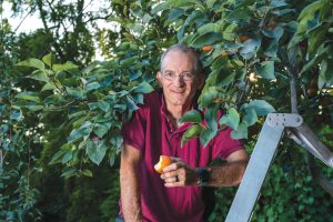 Scott Smith poses on a ladder in front of an Asian pear tree. He holds a pear in his hand with a bite taken out of it.