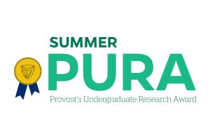 Summer PURA Provost's Undergraduate Research Award.
