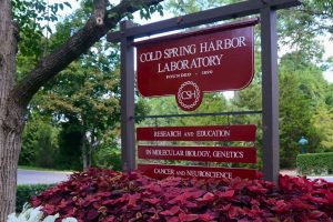 Sign reading "Cold Spring Harbor Laboratory. Found 1890. CSH. Research and education in molecular biology, genetics, cancer, and neuroscience.