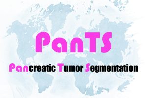 PanTS. Pancreatic Tumor Segmentation.