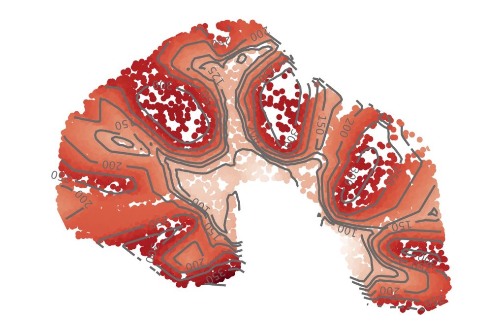 A topographic map of the mouse cerebellum learned by deep learning algorithm GASTON. Each dot is a single cell; the color of a cell indicates the “isodepth,” a quantity analogous to the elevation in a topographic map of a landscape. Cells with equal isodepth (shown as contour lines) have similar gene expression profiles.