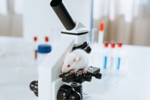 A white mouse with red eyes perched on a microscope in front of test tubes filled with blue liquid.