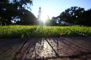 Shot of Gilman Tower from ground-level with the sun shining behind it.